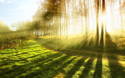 Preparing for Meditation