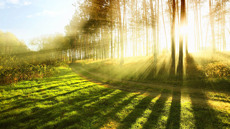 Preparing for Meditation